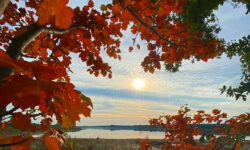 MÉTÉO 3 AU 9 NOVEMBRE 2025 : DOUCE ET CHANGEANTE ?