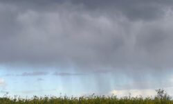 MÉTÉO WEEK-END 29 ET 30 AOÛT 2026 : MITIGE PUIS AMELIORATION DIMANCHE