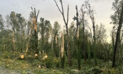 [BILAN] – SUIVI DES DEGATS DES ORAGES DU 25 ET 26 JUIN 2025 – REGION CENTRE – VAL DE LOIRE