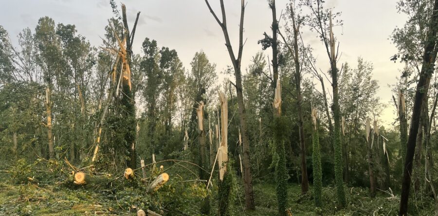 [BILAN] – SUIVI DES DEGATS DES ORAGES DU 25 ET 26 JUIN 2025 – REGION CENTRE – VAL DE LOIRE