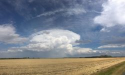 MÉTÉO WEEK-END 31 MAI ET 1ER JUIN 2025 : CHAUD ET LOURD ?