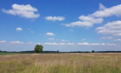 MÉTÉO 20 AU 26 AVRIL 2026 : SOLEIL ET TEMPS SEC ET VENTÉ ?