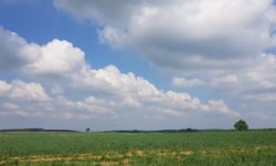 MÉTÉO 15 AU 21 SEPTEMBRE 2025 : AUTOMNALE PUIS ESTIVALE ?