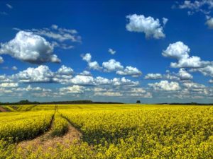 Cumulus dans l'Indre (36)