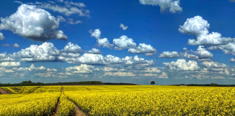 MÉTÉO WEEK-END 17 ET 18 MAI 2025 : SOLEIL ET PRINTANIER ?