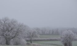 MÉTÉO CENTRE – VAL DE LOIRE DU 3 AU 9 FÉVRIER 2025