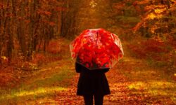 MÉTÉO 22 AU 28 SEPTEMBRE 2025 : FRAÎCHE ET AUTOMNALE ?
