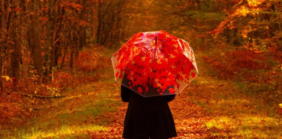 MÉTÉO CENTRE – VAL DE LOIRE DU WEEK-END DU 19 ET 20 OCTOBRE 2024