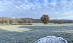 MÉTÉO CENTRE – VAL DE LOIRE DU 9 AU 15 DÉCEMBRE 2024