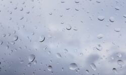 MÉTÉO WEEK-END 31 JANVIER ET 1ER FÉVRIER 2026 : TRÈS MITIGÉ ?