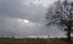 MÉTÉO 19 AU 25 JANVIER 2026 : CHANGEANTE PUIS PERTURBÉE ?