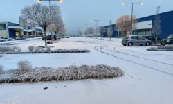 NEIGE INDUSTRIELLE LOCALISÉE OBSERVÉE LES 20 ET 21 JANVIER 2025