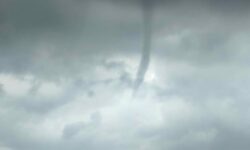 [Tuba] – Observations dans le Cher, le Loir-et-Cher et le Loiret