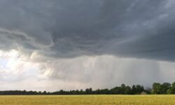 [BILAN] – Episode pluvio-orageux du 19 au 20 août 2025 – Région Centre – Val de Loire