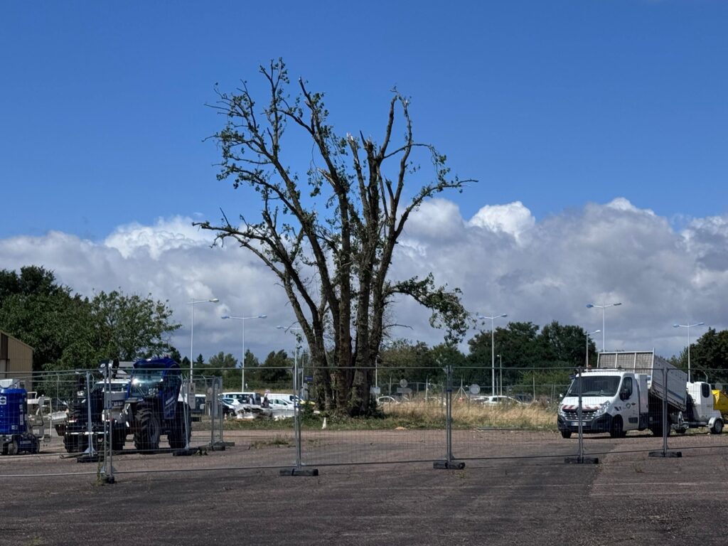 Arbre touché par la tornade sur l'aéroport de Tours le 21 juillet 2025