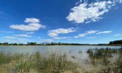 [BILAN] – Températures maximales et records du 26 juin 2026 – Centre – Val de Loire
