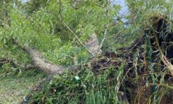 [Bilan] Orages du 20 et 21 septembre 2025 – Centre de Val de Loire