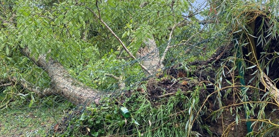 [Bilan] Orages du 20 et 21 septembre 2025 – Centre de Val de Loire