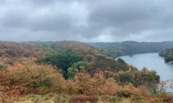 MÉTÉO WEEK-END 1ER ET 2 NOVEMBRE 2025 : TOUSSAINT HUMIDE ?