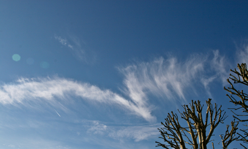 Nuage de type Cirrus en Sologne