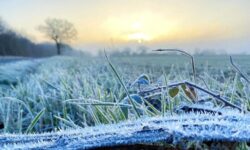 MÉTÉO 17 AU 23 NOVEMBRE 2025 : NET REFROIDISSEMENT !