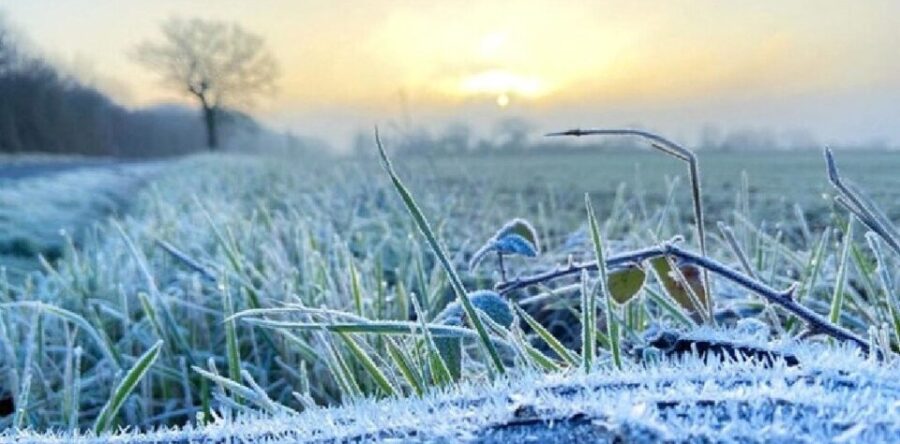 MÉTÉO CENTRE – VAL DE LOIRE DU WEEK-END DU 11 ET 12 JANVIER 2025