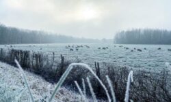 MÉTÉO CENTRE – VAL DE LOIRE DU WEEK-END DU 28 ET 29 DÉCEMBRE 2024