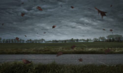 MÉTÉO CENTRE – VAL DE LOIRE DU 30 OCTOBRE AU 5 NOVEMBRE 2023