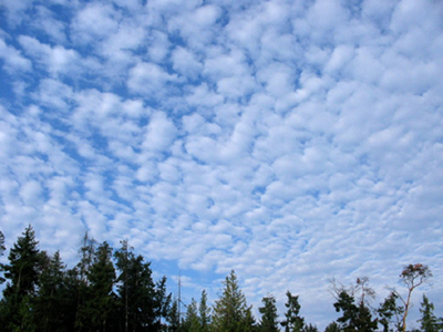 Nuage de type stratocumulus