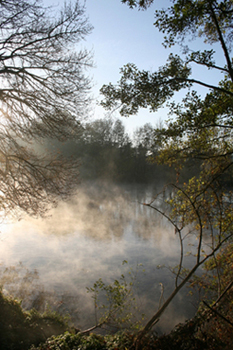 Nuage de type stratus au bord du Loiret (45)