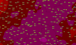 [BILAN] – SUIVI DE L’EPISODE DE CHALEUR ET DE CANICULE – FIN JUIN ET DEBUT JUILLET 2025